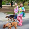 dog walk 2013-5094